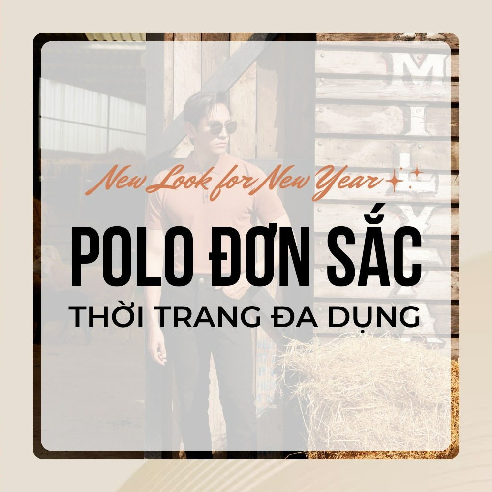 ÁO POLO ĐƠN SẮC - ITEM THỜI TRANG ĐA DỤNG.jpg